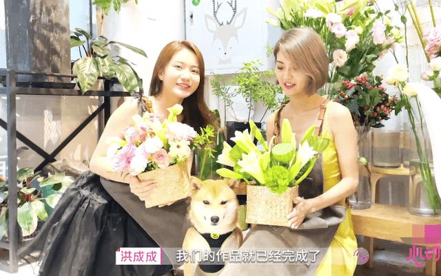 虫虫助手下载